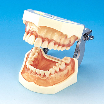 商品情報｜株式会社ニッシン｜歯科模型・歯科材料のトップメーカー