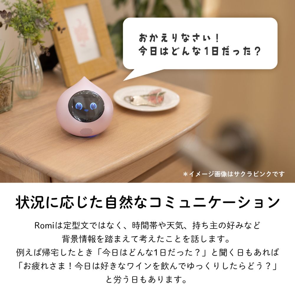 会話AIロボットRomi(ロミィ) Lacatanモデル ムーングレー ROMI-L01GY