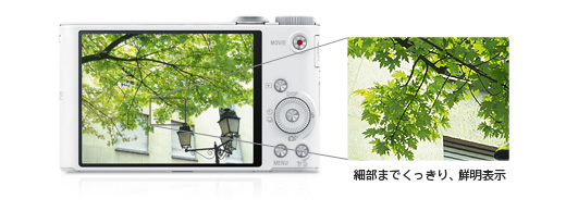 DSC-WX300 特長 : 光学20倍プレミアム・ハイズーム | デジタルスチル
