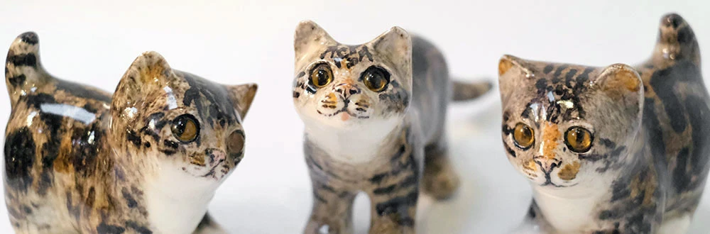 グレーと茶色の模様 が美しい約20cm ケンジントンキャット 小顔で