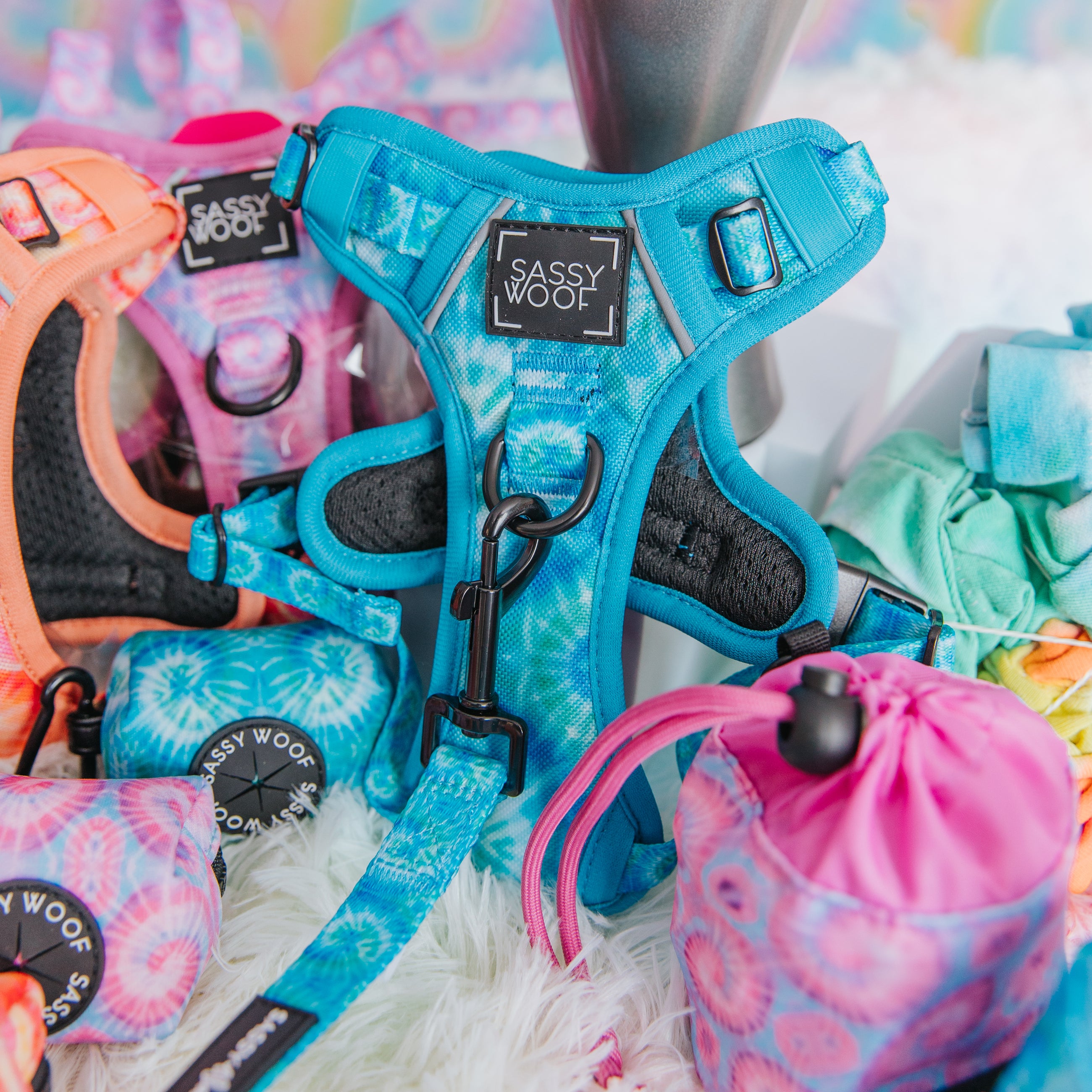 Dog Four Piece Bundle - Disney's Stitch | Sassy Woof Product