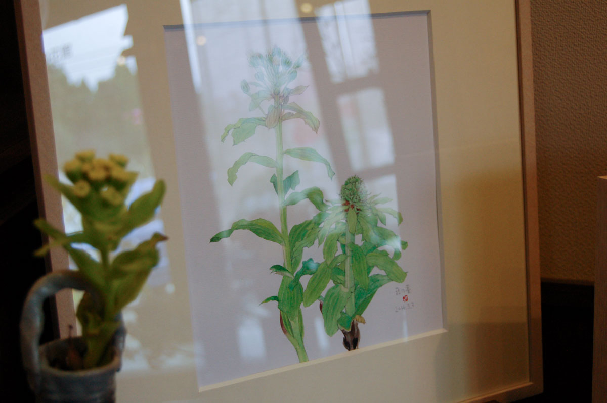 四季の山野草を描く水彩画ギャラリー「外山康雄 野の花館」 – 雪と旅