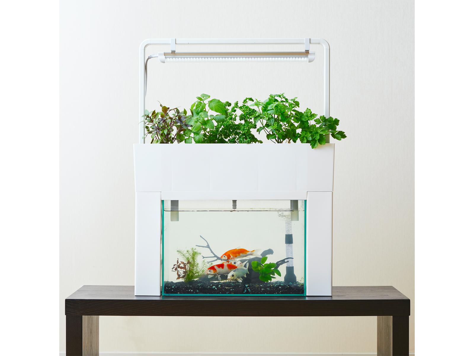 株式会社ナリカ 理科ドットコム