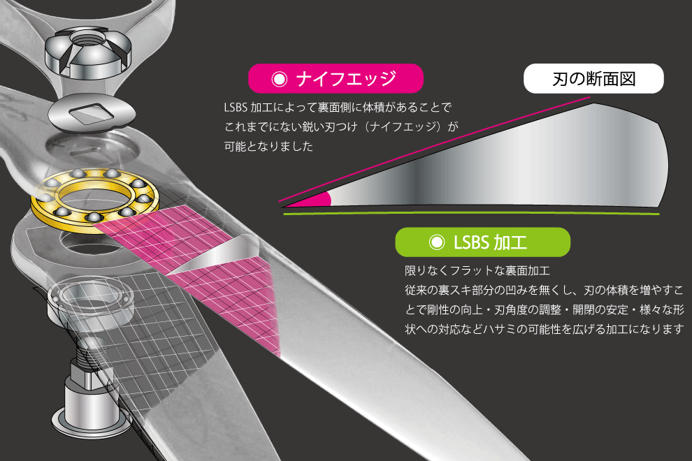 Qv FLOR 25%29 | シザーズジャパン