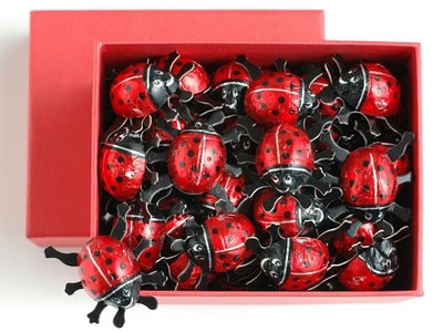 オーガニック】てんとう虫チョコレート ギフトBOX 50個 【オーガニック