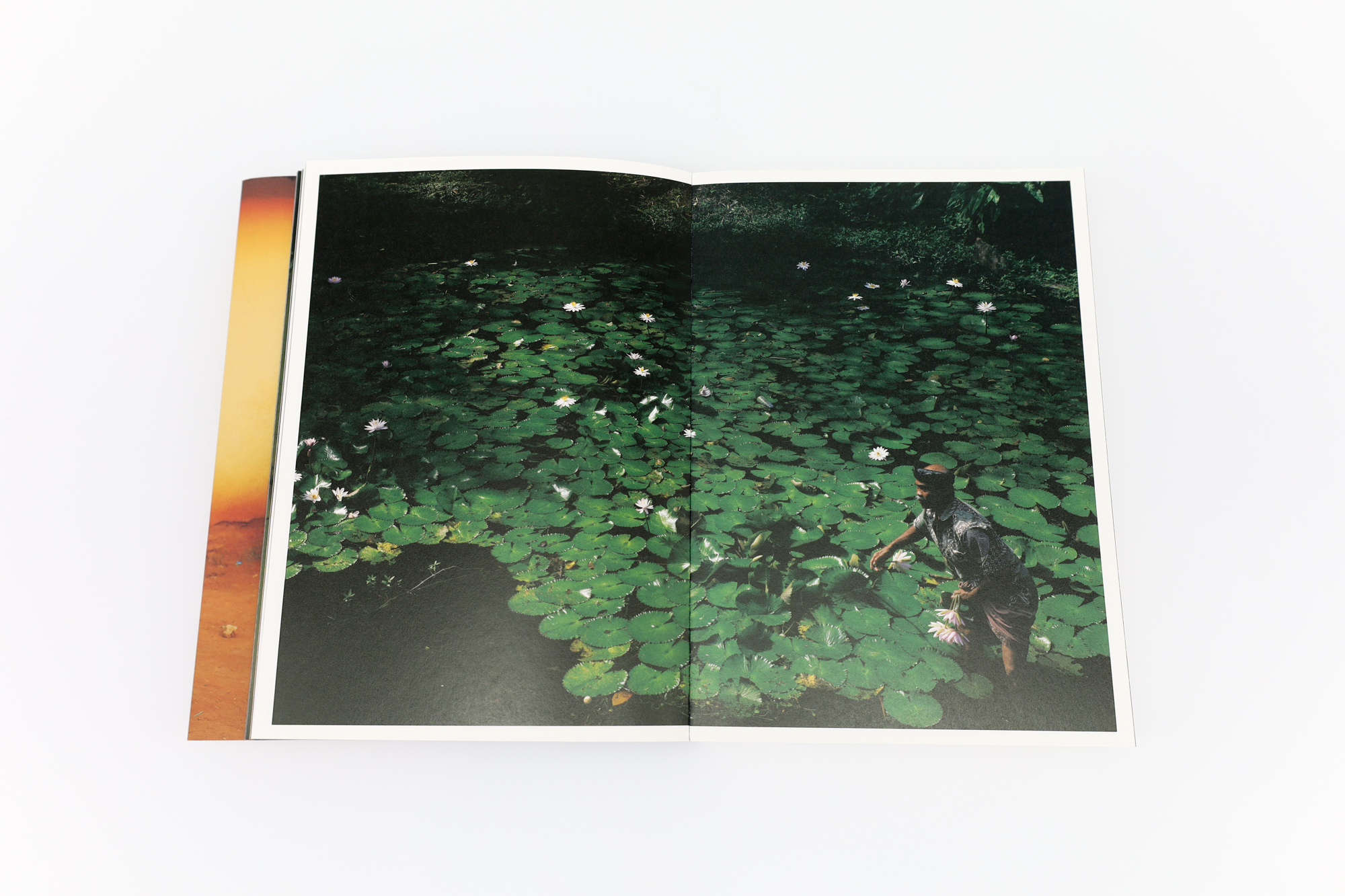 竹沢うるま写真集 BOUNDARY | 中心｜青幻舎 SEIGENSHA Art Publishing