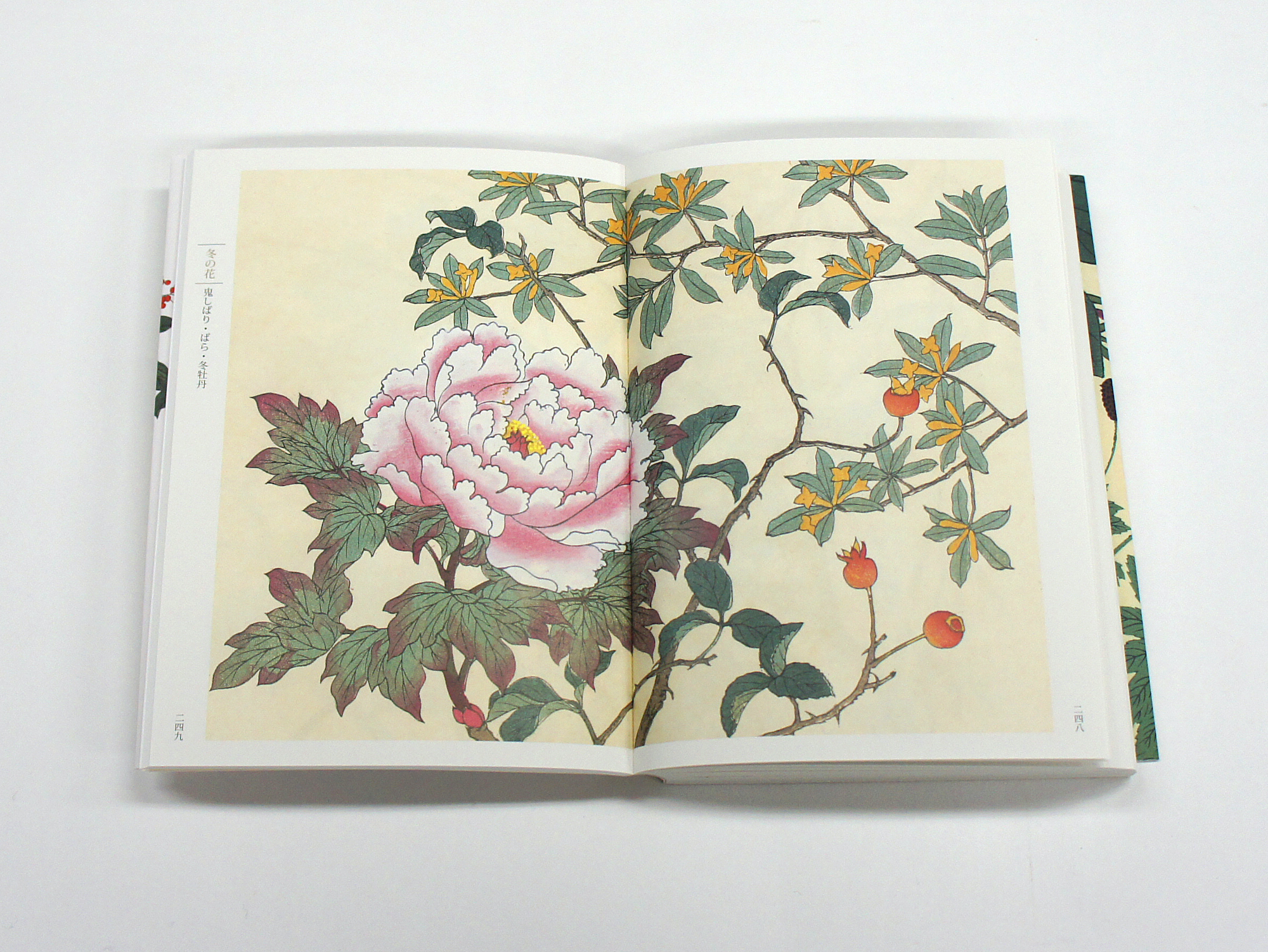 新装版 四季の花（下巻）｜青幻舎 SEIGENSHA Art Publishing, Inc.