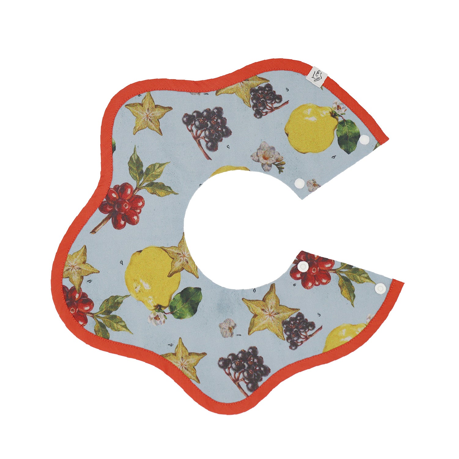 なぞなぞフルーツスタイ - senobito〈セノビト〉