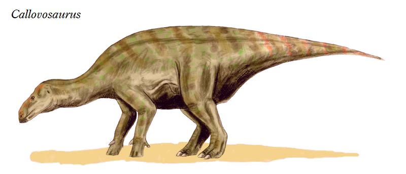 callovo03.jpg 本物 恐竜 ドリオサウルスの肋骨化石 ワイオミング