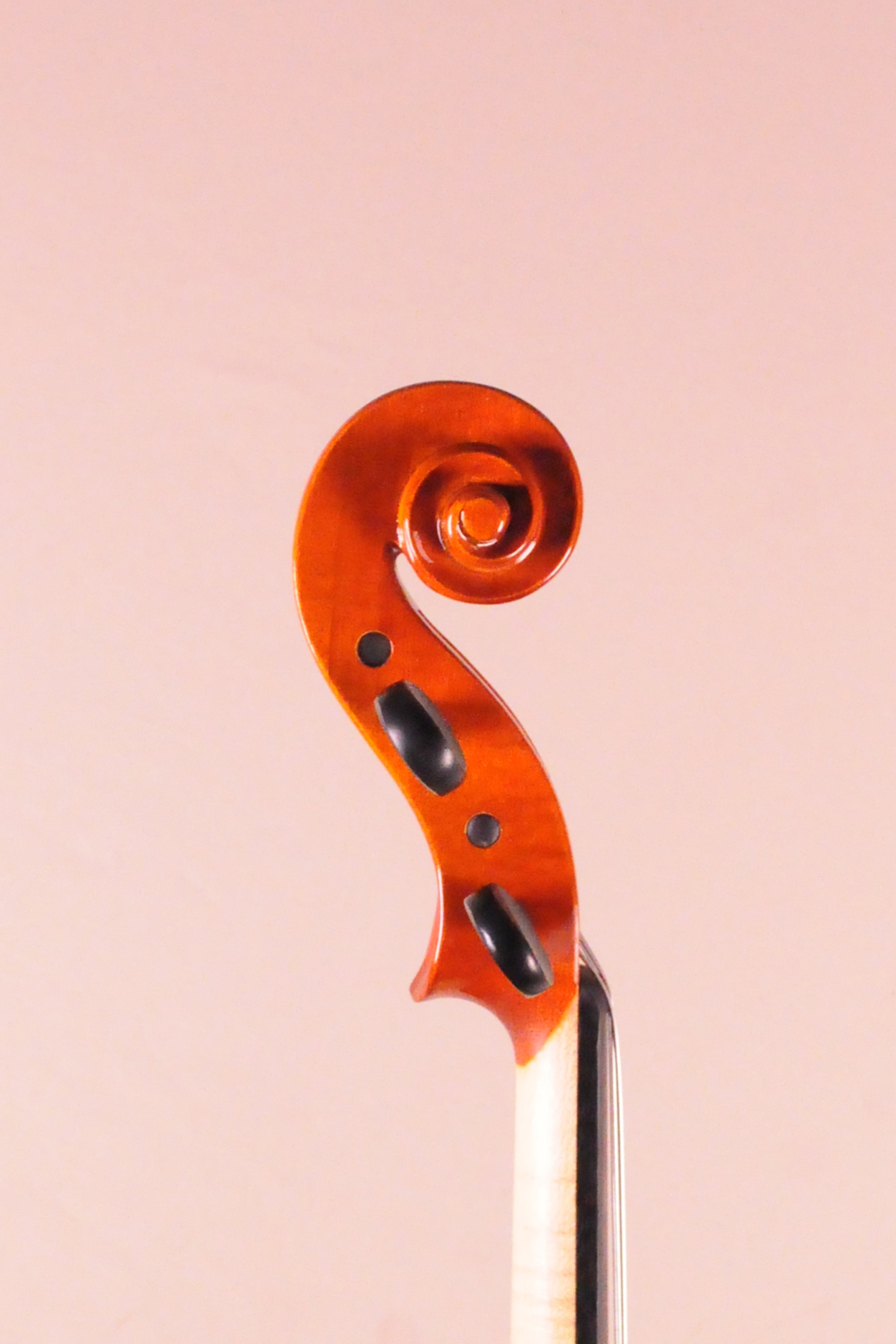 ARS MUSIC #024 | 下倉バイオリン 弦楽器専門店