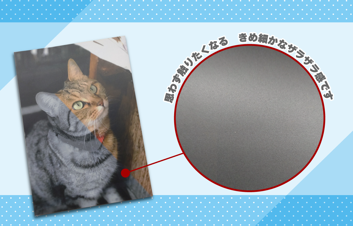 にゃおにゃにゃフェアりにゃーん／同人誌印刷会社なら・初めての人“に