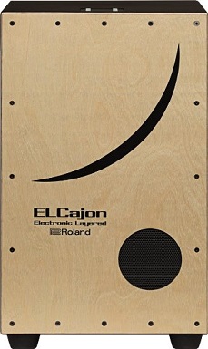 Roland エレクトリックカホン EC-10 入荷しました！｜島村楽器