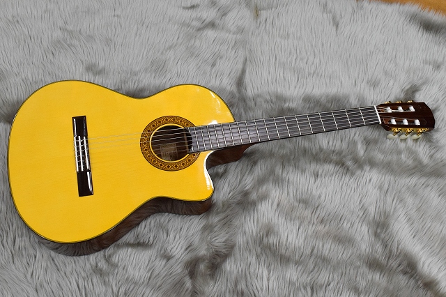 エレガット】千葉・津田沼 エレガットギターのご紹介です｜島村楽器