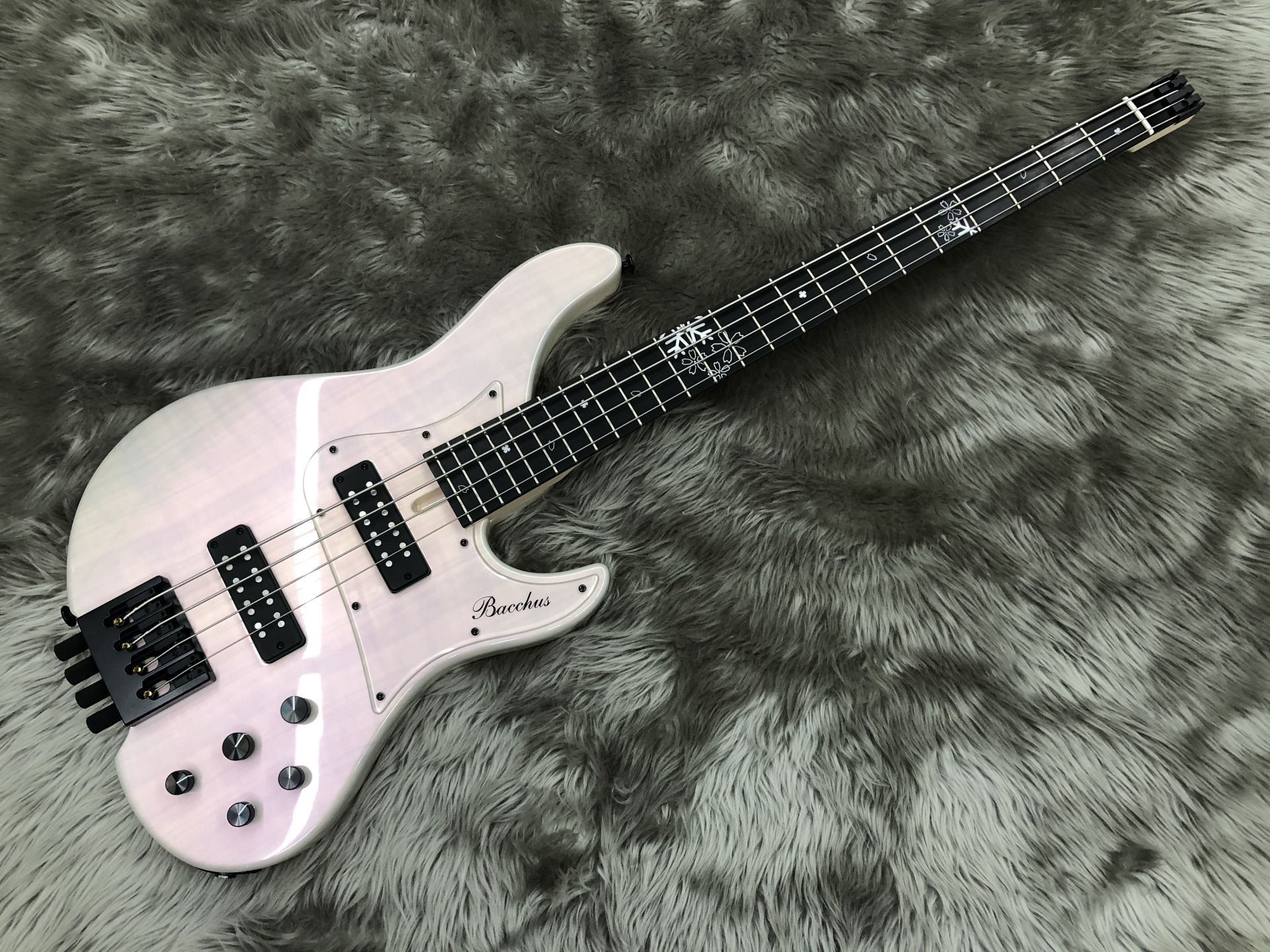 エレキベース】Bacchusヘッドレスフェア開催中！島村楽器金沢