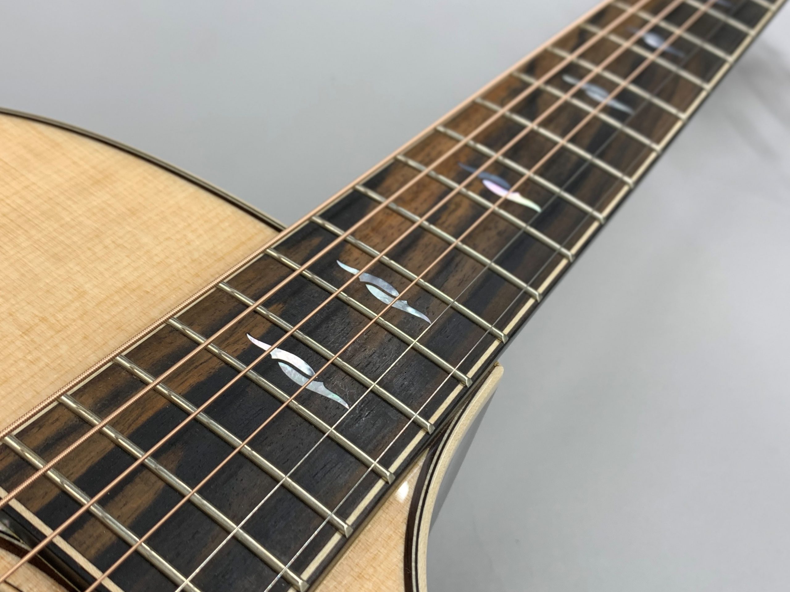 アコギ入門者へのススメ～Taylor編～｜島村楽器 札幌ステラプレイス店