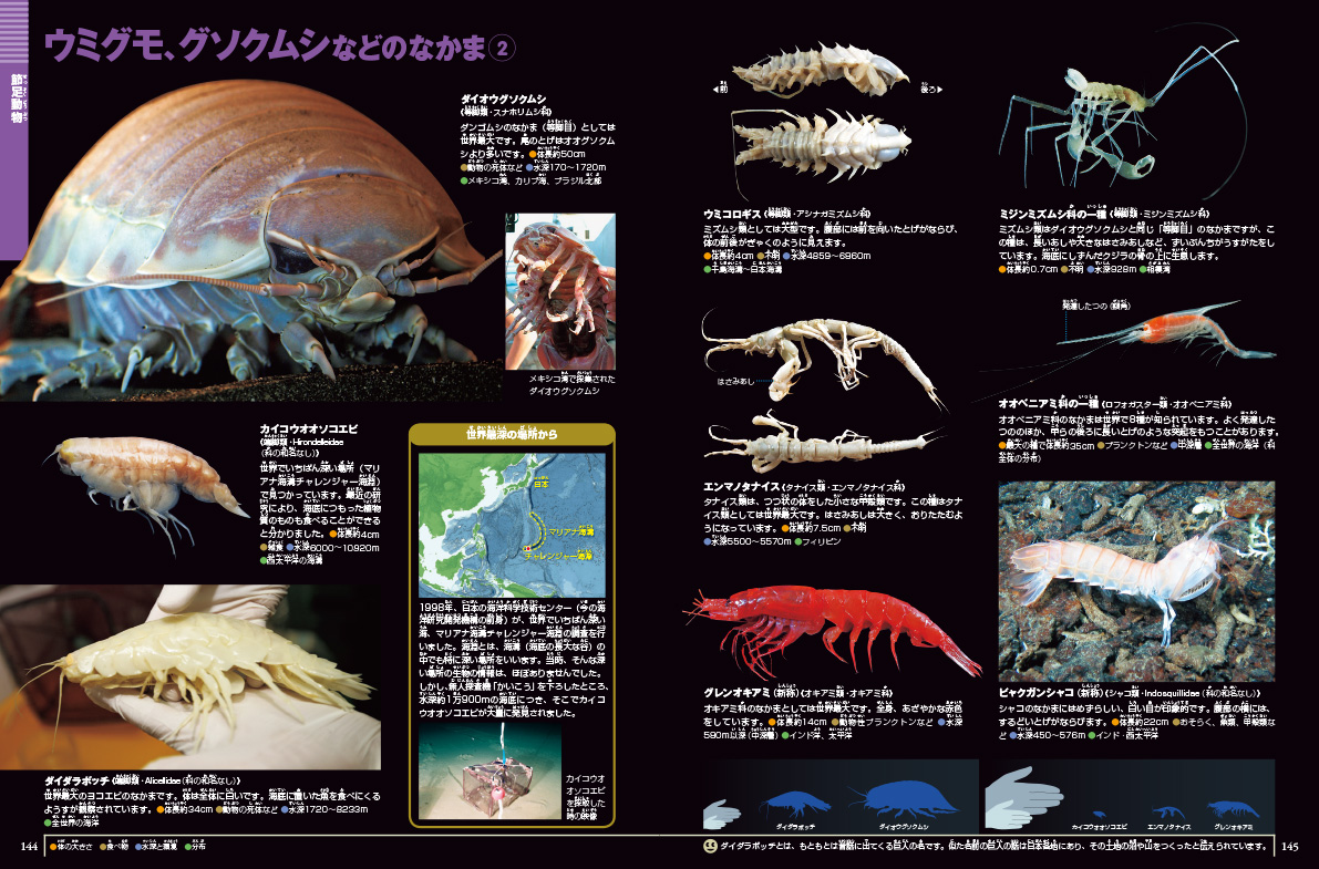 深海生物 DVDつき | 小学館の図鑑NEOシリーズ | 小学館