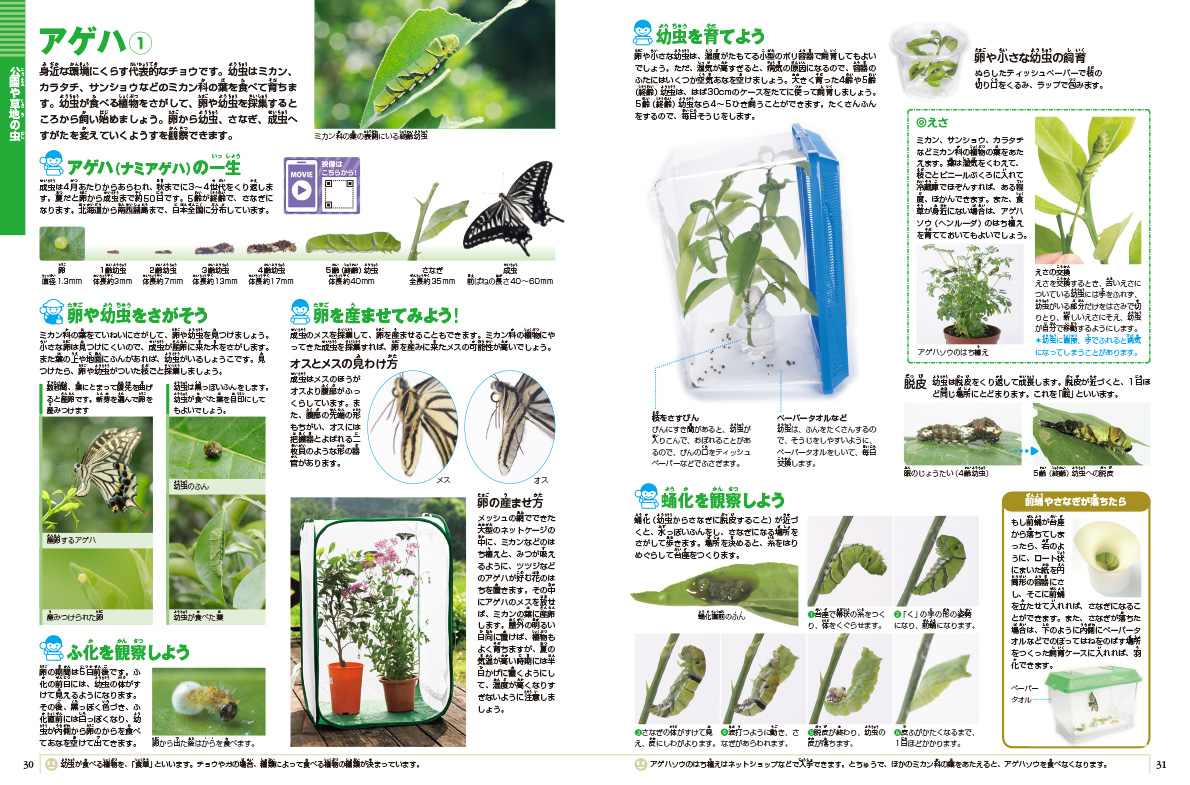 新版］飼育と観察 DVDつき | 小学館の図鑑NEOシリーズ | 小学館