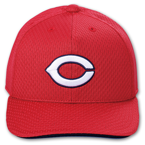 プロ仕様ヘルメット(左打者用) | 商品詳細 - 広島東洋カープ