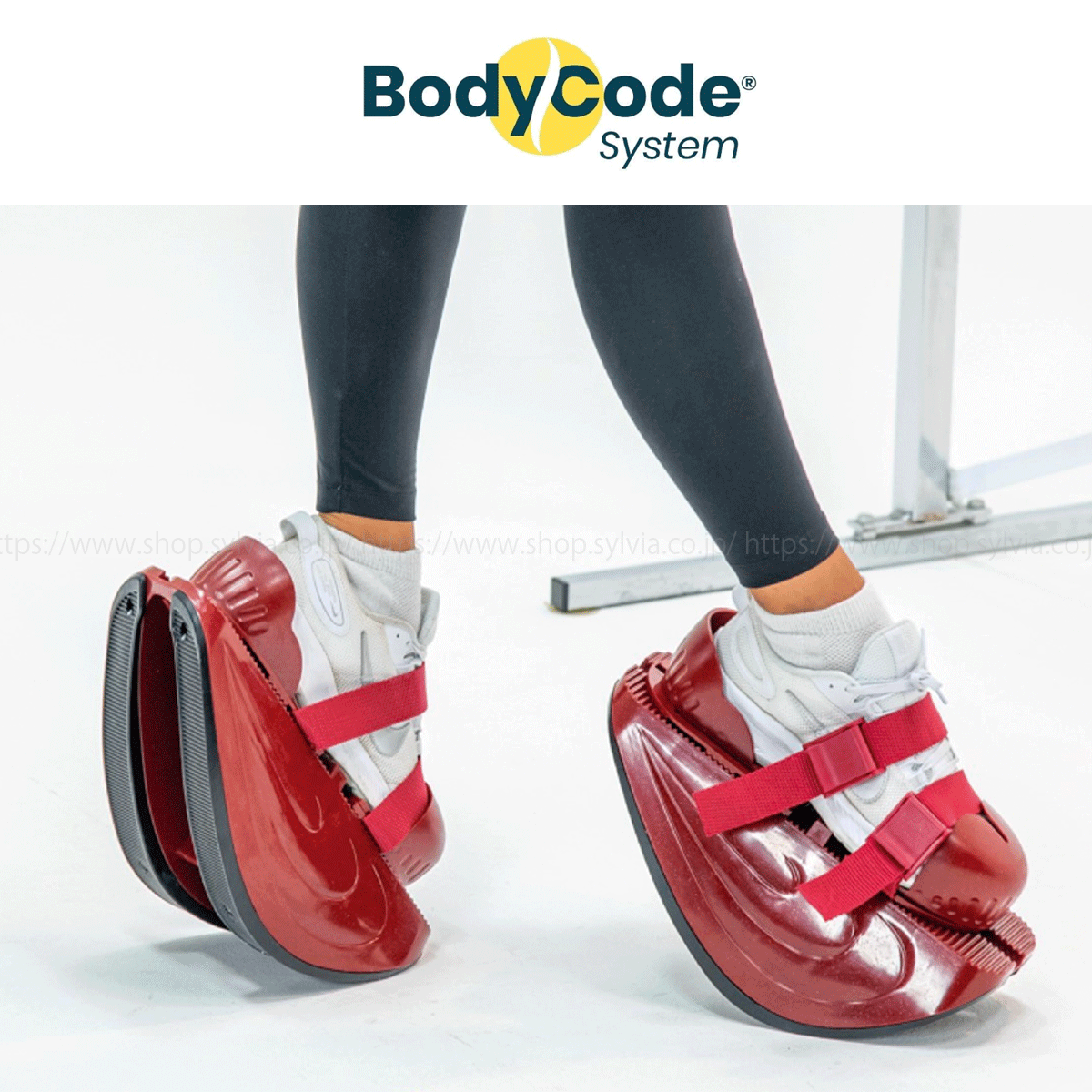 トレーニング用品 マスターストレッチ 販売 バレエやダンスをする方に