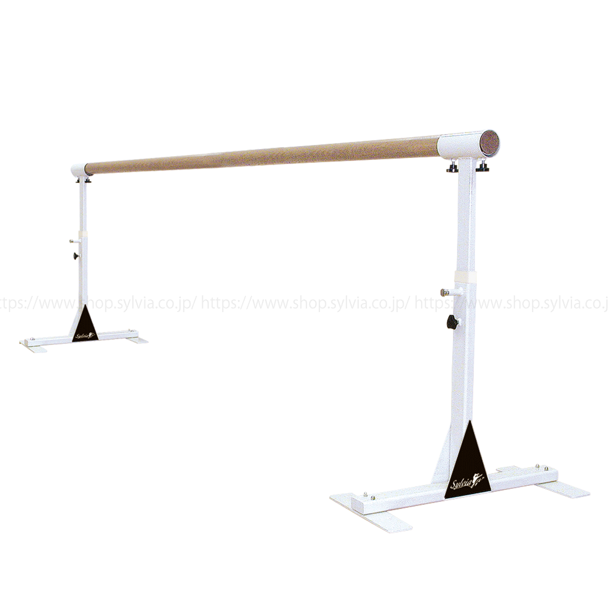 T型レッスンスタンド ホワイト(一対)＆レッスンバー ナチュラル(3m