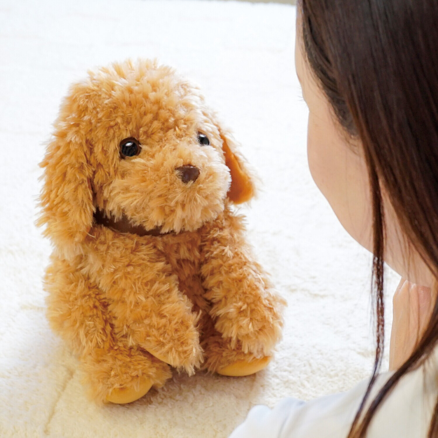 音声認識ぬいぐるみ おしゃべりトイプードル- ショップチャンネル