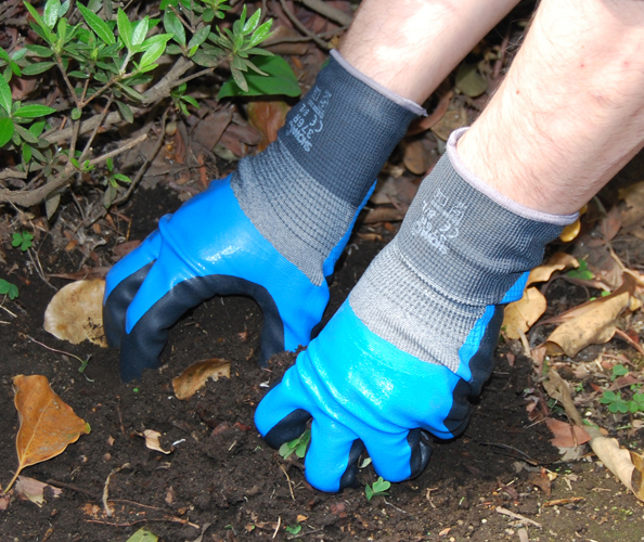 HOLD（ホールド）オイル＆ナックル | SHOWA