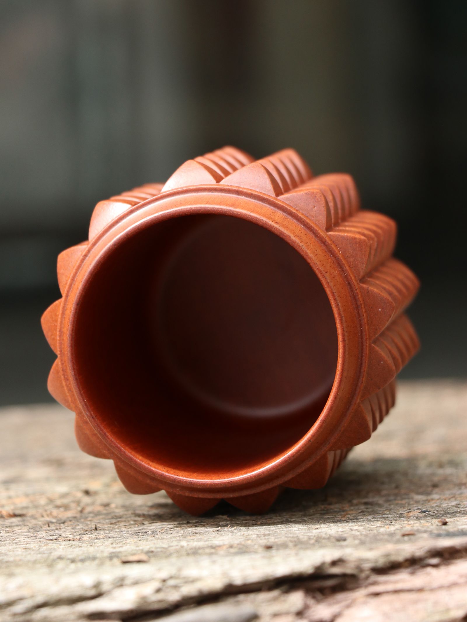 BALLISTICS - STADS CUP (URETHANE FINISH) | SKANDA