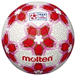 天皇杯 試合球／サッカーショップKAMO