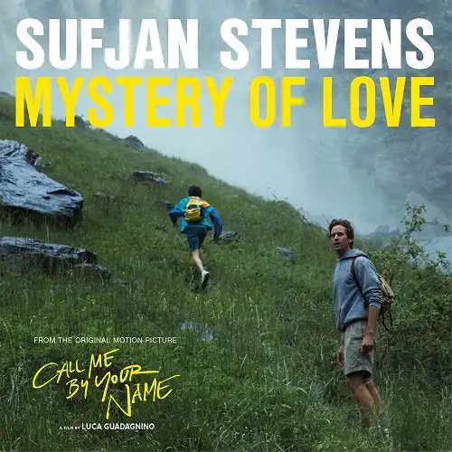 SUFJAN STEVENS / MYSTERY OF LOVE EP [10inch - ]：10s ROCK