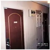 ラブリーサマーちゃん / 202 FEAT. 泉まくら [LP - ]：JAPANESE