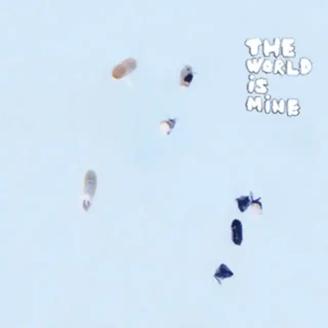 くるり / WORLD IS MINE [LP - ]：JAPANESE：アナログレコード専門通販