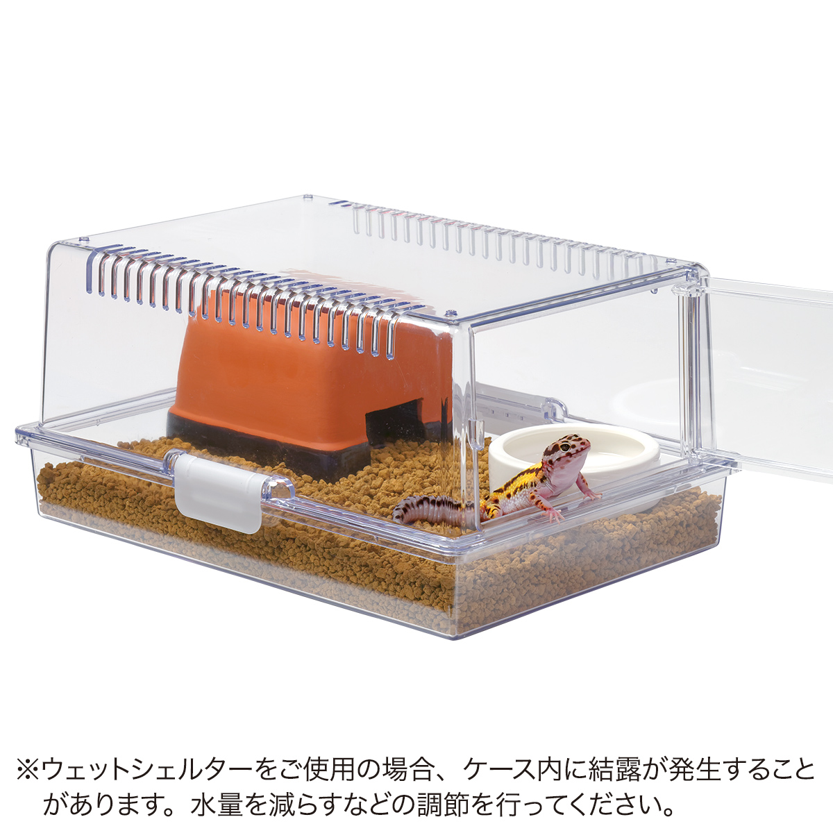 レプティギア 365 | 株式会社スドー｜観賞魚・水草 爬虫類 小動物 小鳥用品