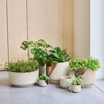 ツヤっとした塗装が施された鉢カバー｜WEBコラム｜商品案内｜杉田