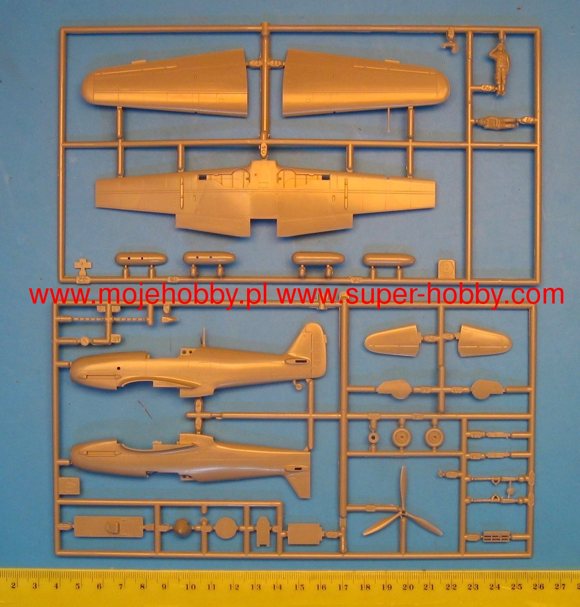 Kawasaki Ki61-I Tei HIEN (TONY) 18th Flight Training Unit Hasegawa