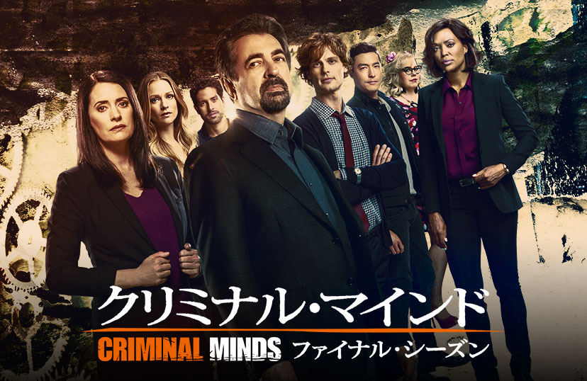 クリミナルマインド シーズン7〜ファイナルDVDセット 途中巻からです