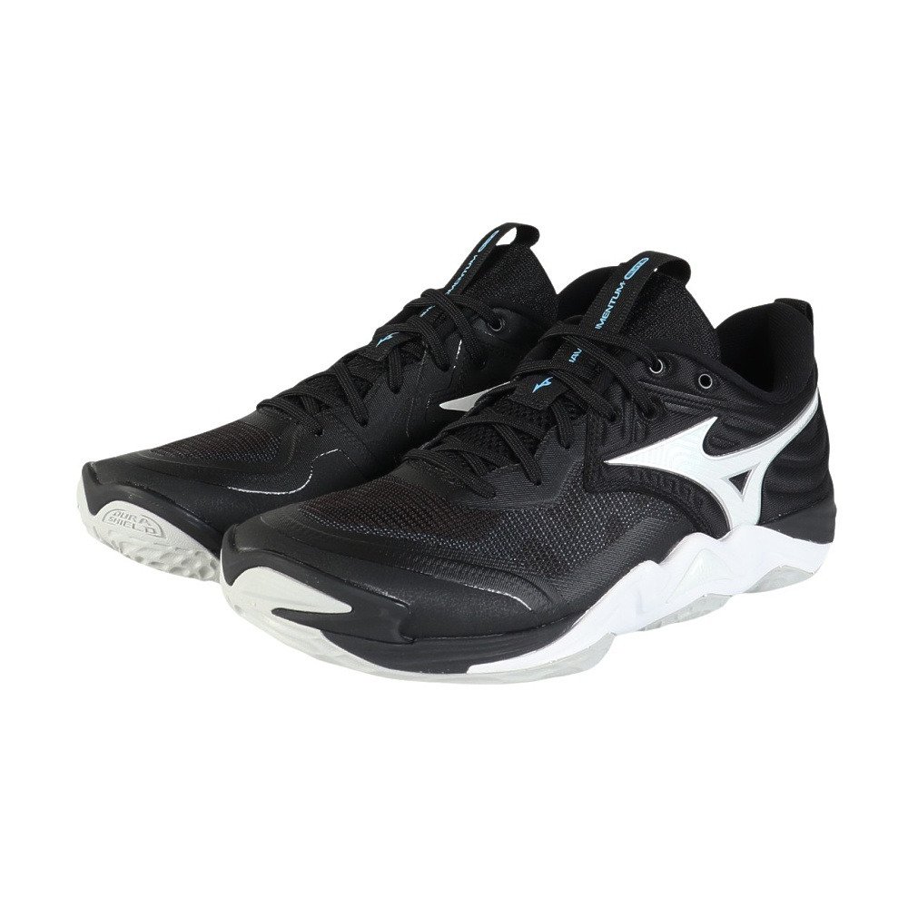 ミズノ（MIZUNO）（メンズ、レディース）バレーボールシューズ