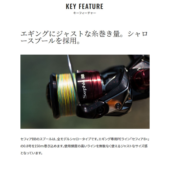 シマノ セフィア BB C3000SHG 22年モデル エギングリール - 釣具の
