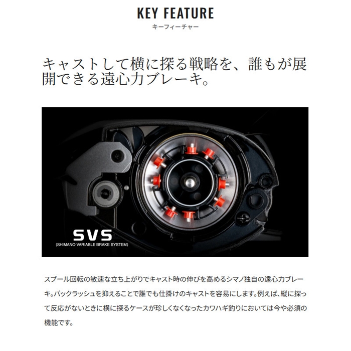 シマノ 25 スティーレ 100PG 右ハンドル - 釣具のポイント 【公式