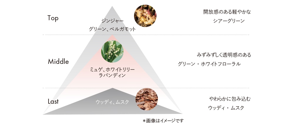 B.A ライト セレクター N: 商品詳細 | ポーラ公式 エイジングケアと