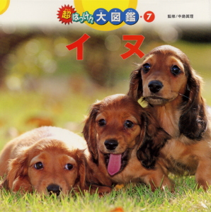 イヌ｜超はっけん大図鑑｜自然科学｜本を探す｜ポプラ社