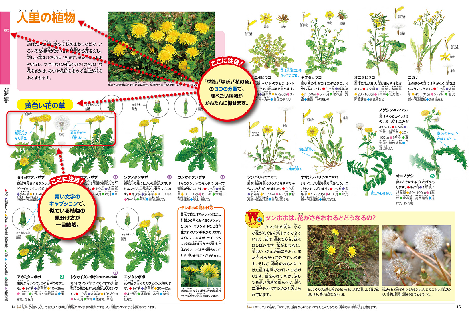植物 | ポプラディア大図鑑「WONDA」