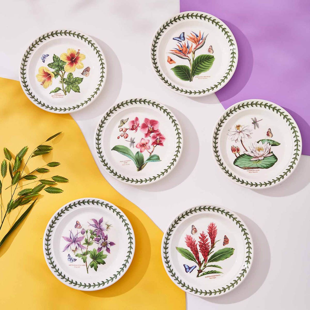 Portmeirion Exotic Botanic Garden 6 inch Plates Set of 6 | Portmeirion