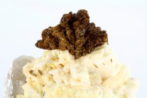 チルドレナイト - Patrick Voillot