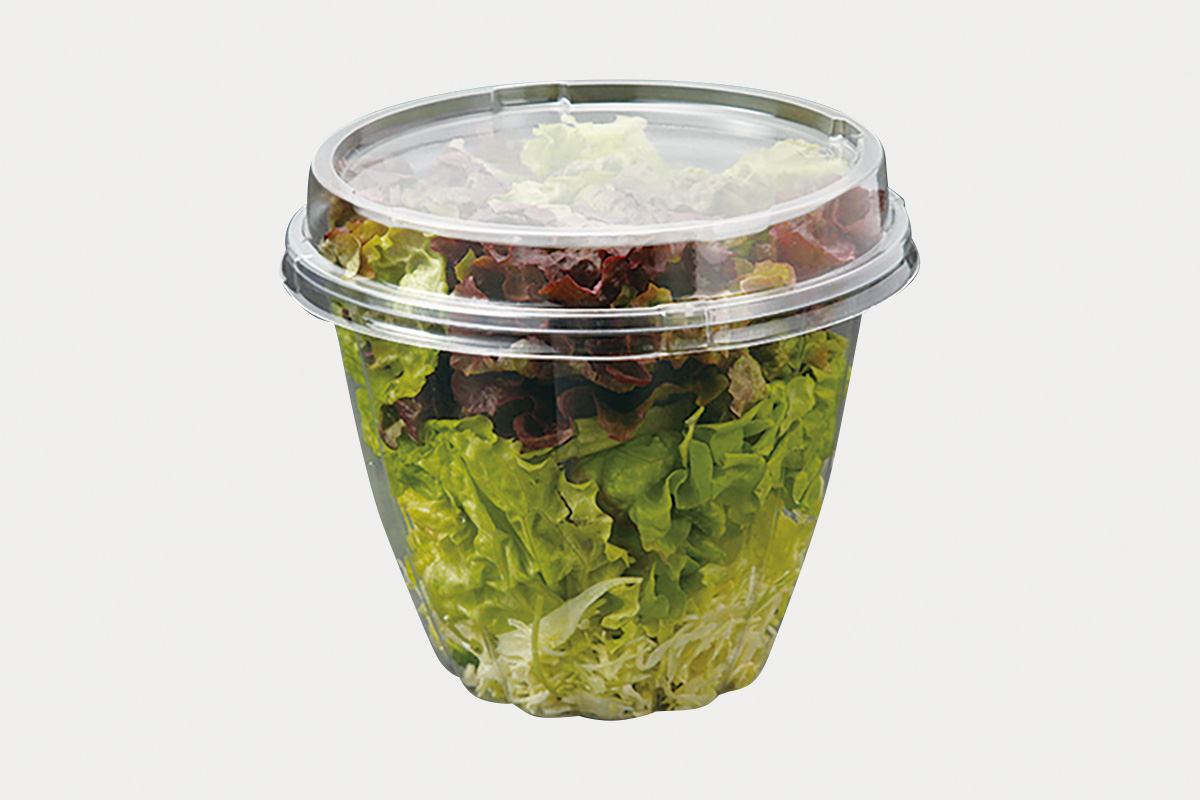 33ozサラダ 本体 | パックスタイル