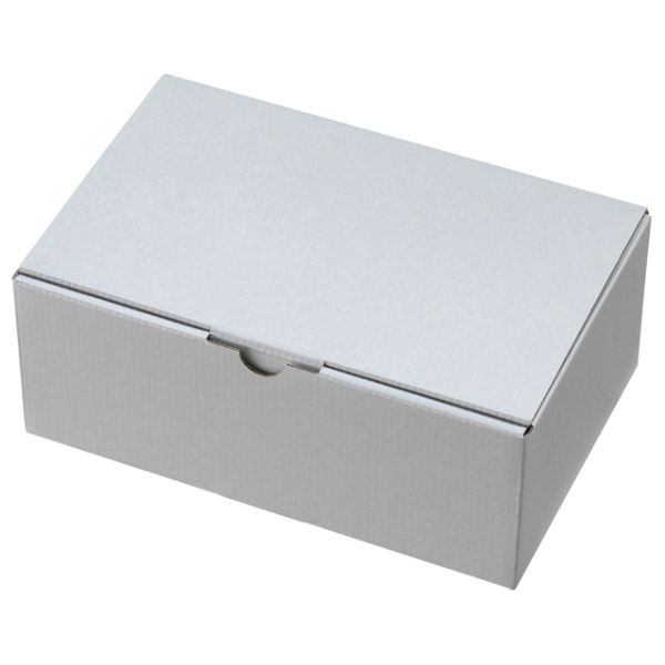 ギフト箱 無地シルバーグレーギフトボックス-2(10枚) ヘッズ
