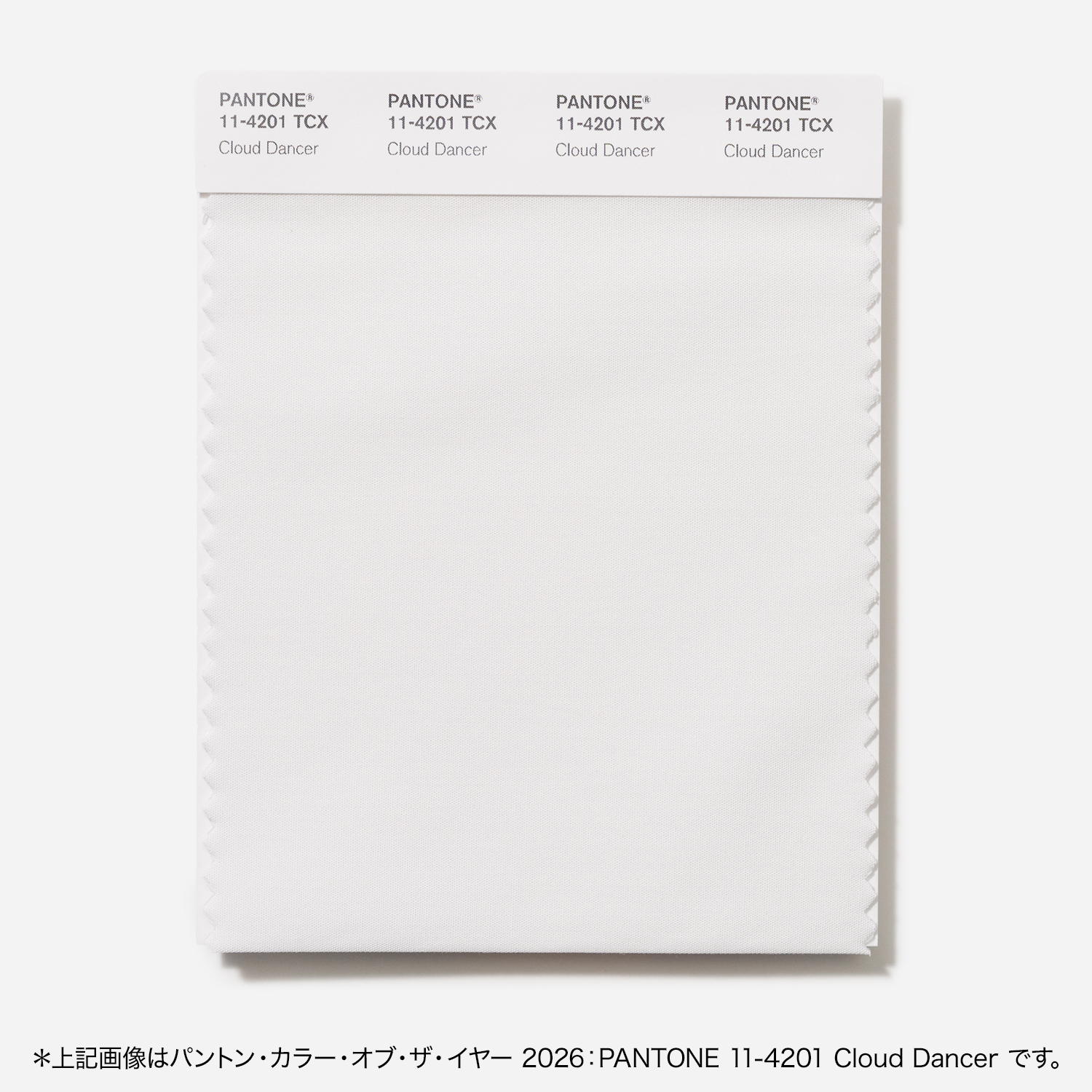 パントン・ファッション、ホーム + インテリア・コットン・スワッチ