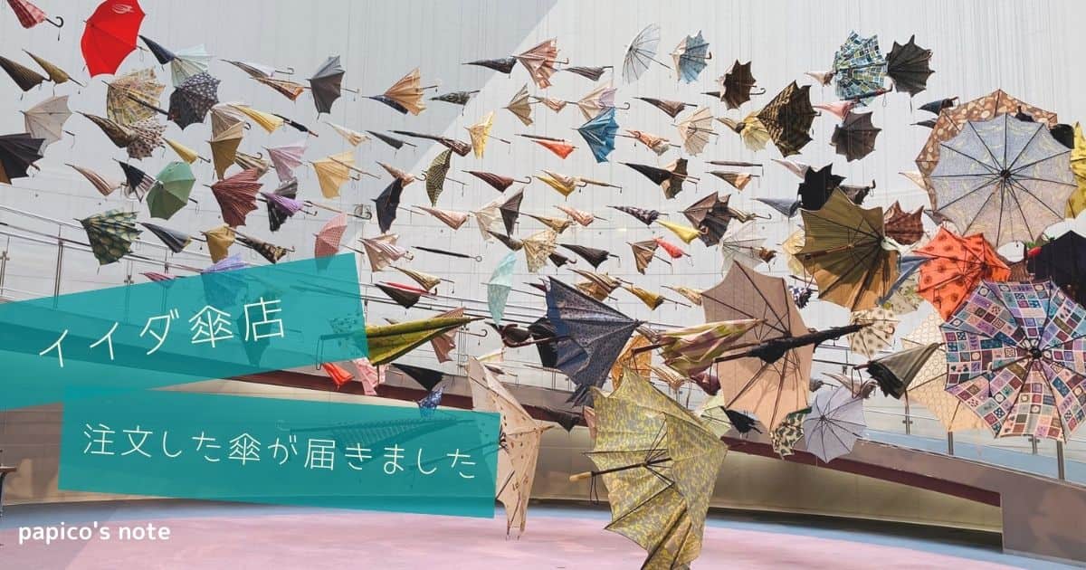 イイダ傘店】の受注会で注文した傘（野いちご）が届きました