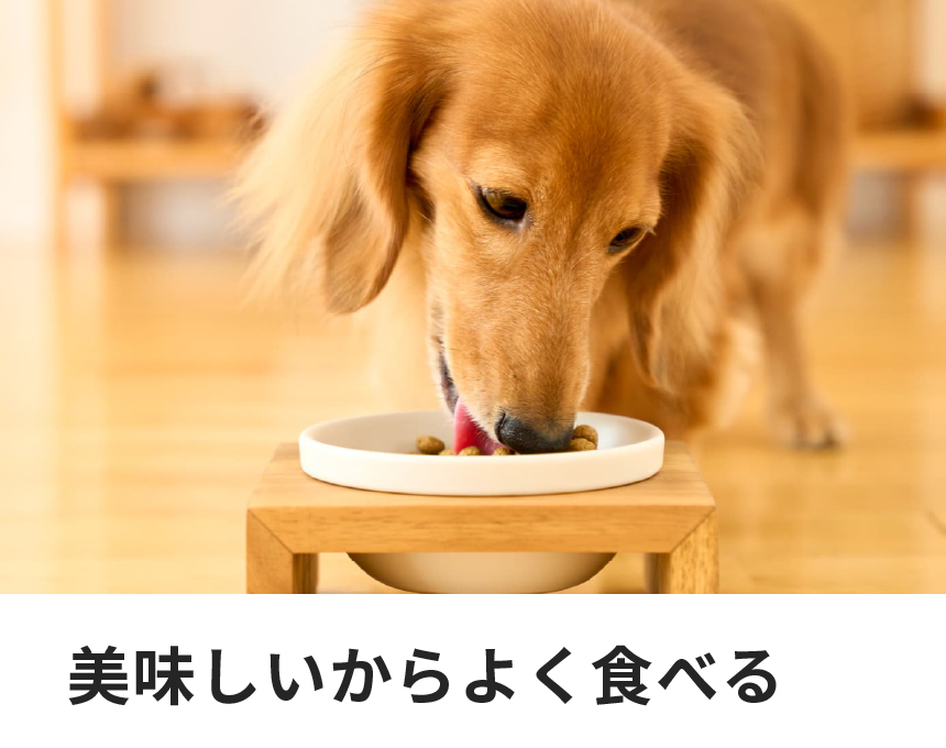 犬用アミノプロテクトケアポテト｜Dr.'s（ドクターズ）| ペットライン