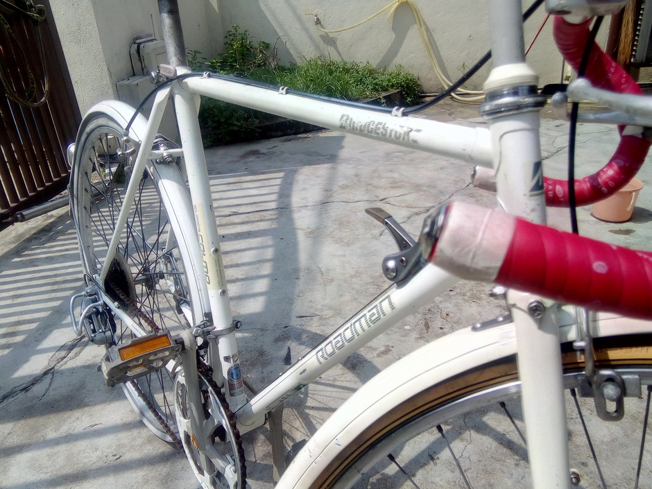 Bridgestone Roadman Super Colmo - Pedal Room