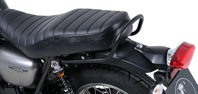 Kawasaki W800 / W650 カスタム ツーリング